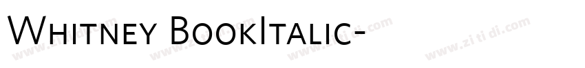 Whitney BookItalic字体转换